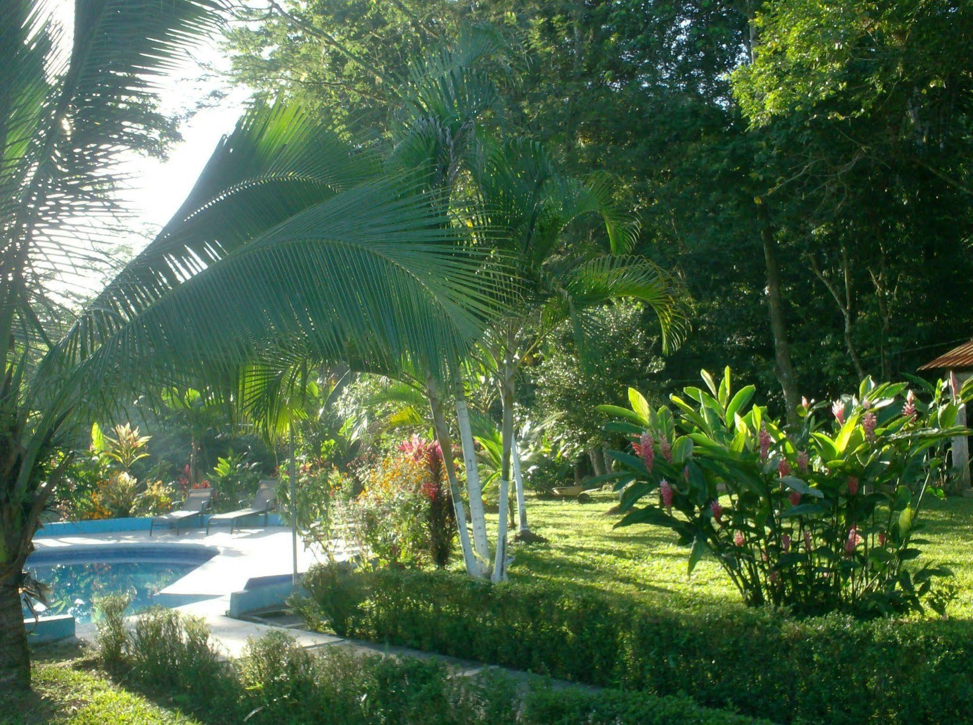Hotel Lavas Del Arenal La Fortuna Εξωτερικό φωτογραφία