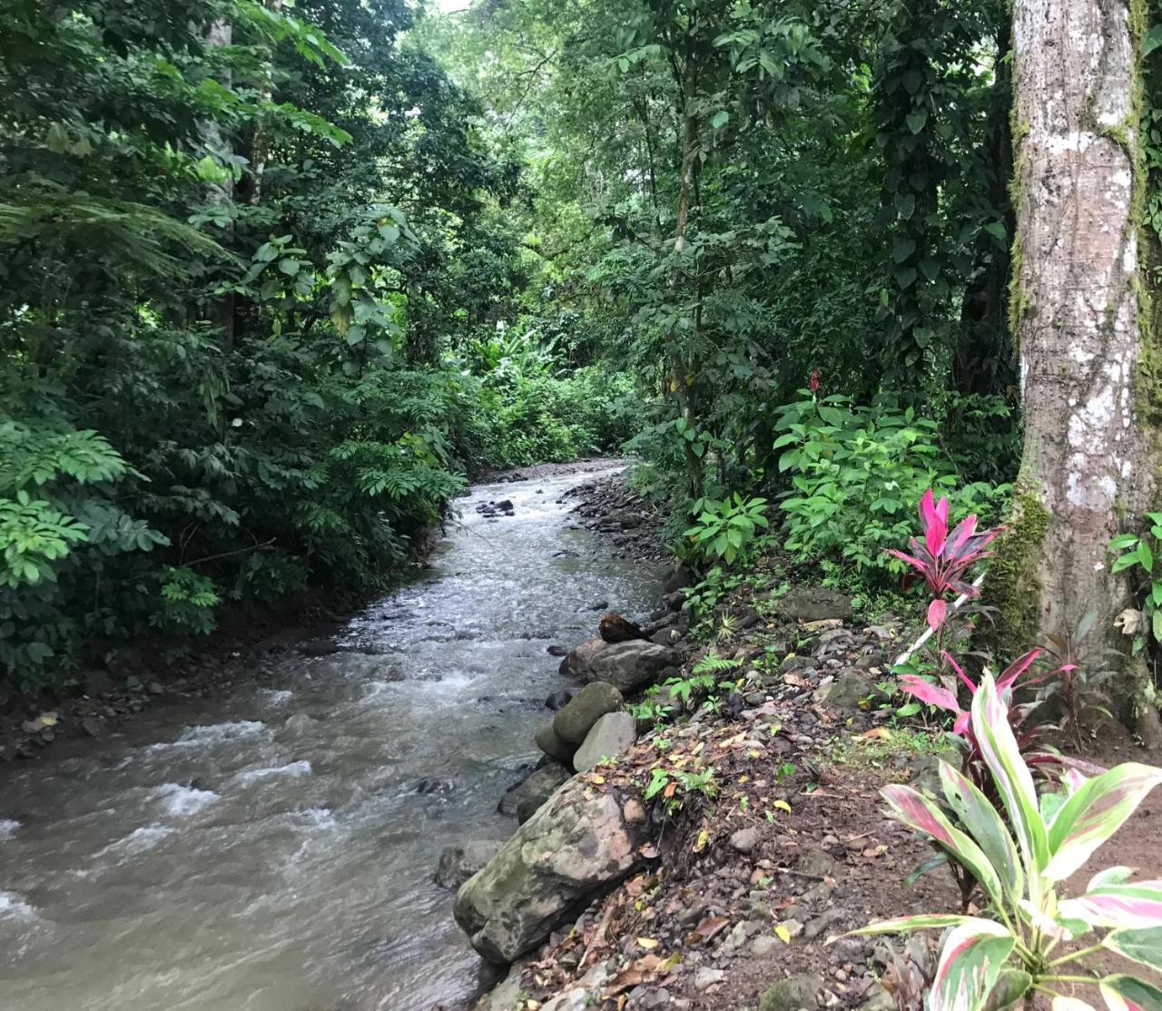 Hotel Lavas Del Arenal La Fortuna Εξωτερικό φωτογραφία